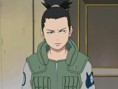 Shikamaru Nara(3c)